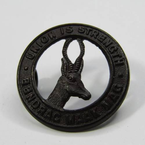 Pair of SA Army collar badges