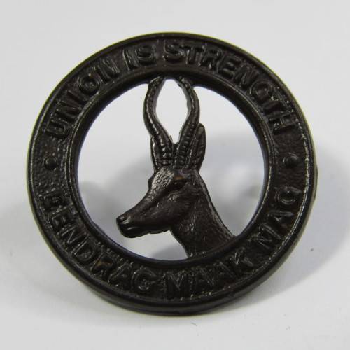 Pair of SA Army collar badges
