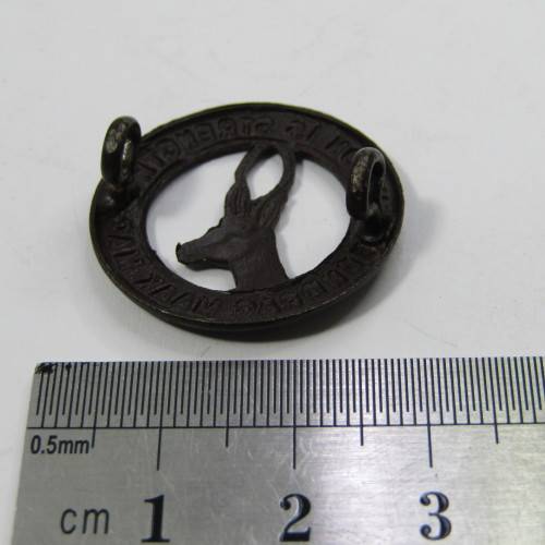 Pair of SA Army collar badges
