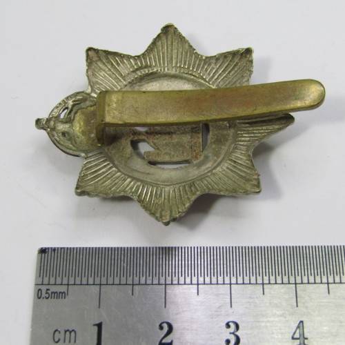 The Devonshire Regiment cap badge