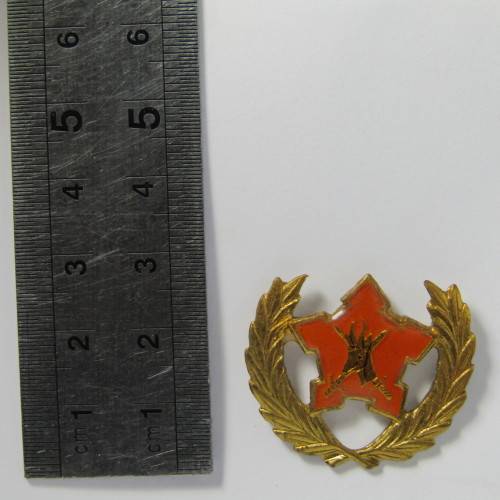 SA Army Citizen Force breast badge