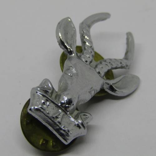 Pair of SA Infantry collar badges