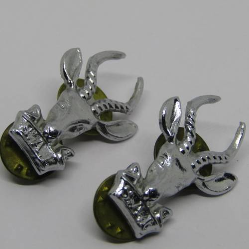 Pair of SA Infantry collar badges
