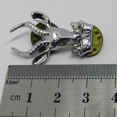 Pair of SA Infantry collar badges
