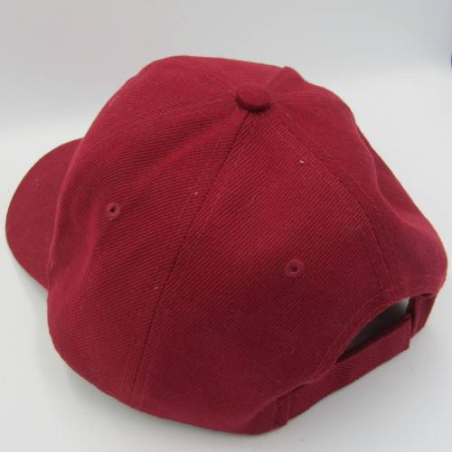 SADF 1 Parachute battalion Veterans association cap