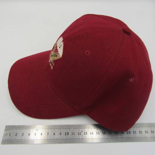 SADF 1 Parachute battalion Veterans association cap