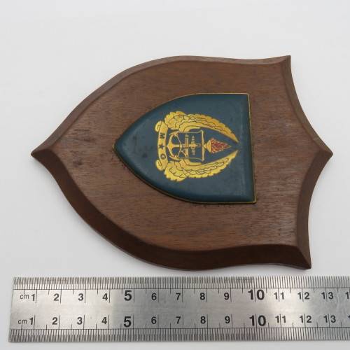 SADF Military Gymnasium shoulder flash plaque