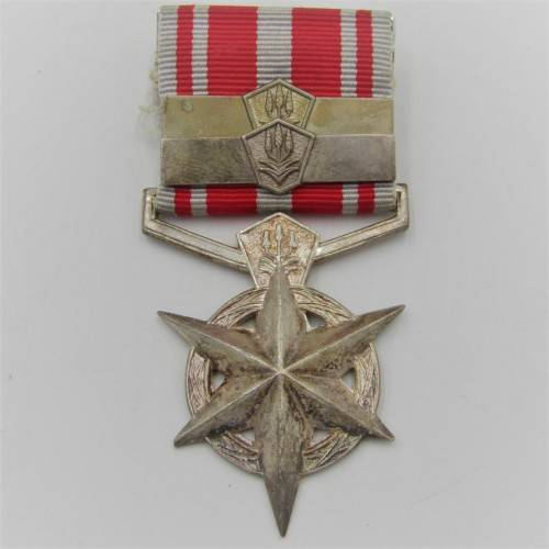 SA Police combatting terrorism medal with 2 bars issued to W58492H Sergeant GJP Knoetze