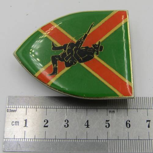 SADF Danie Theron combat school shoulder flash