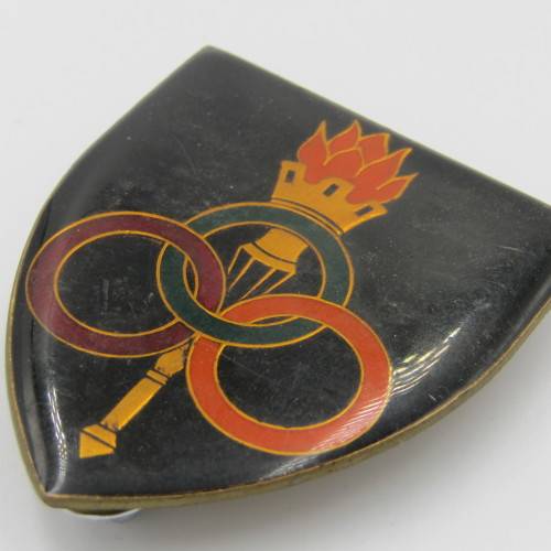 SADF Ordnance services school shoulder flash