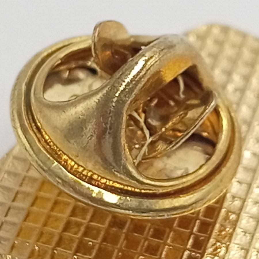 SA Rugby Springboks lapel pin badge