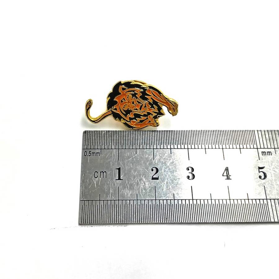 LIONS Rugby pin badge