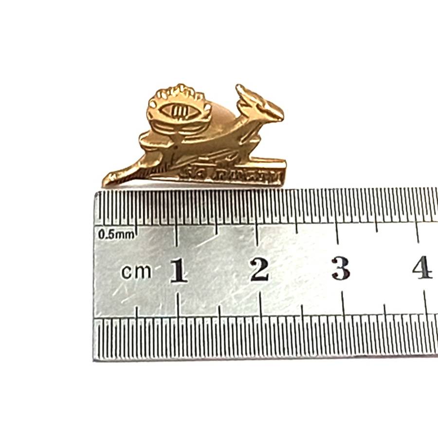SA Rugby Springboks lapel pin badge