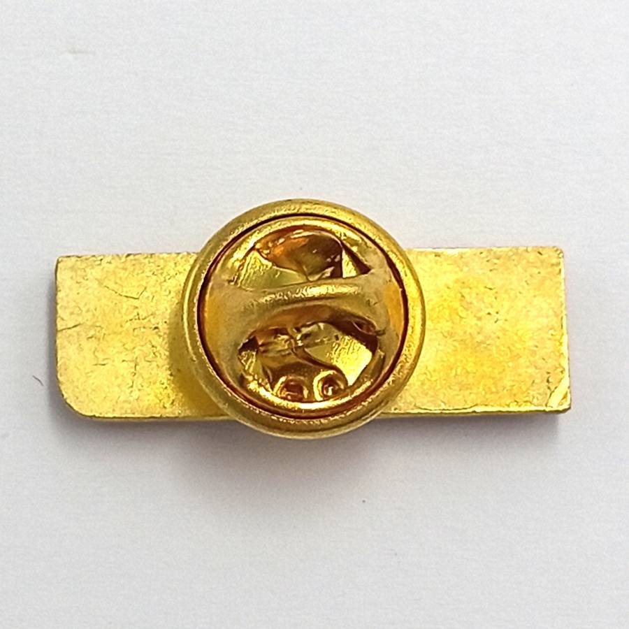 LIONS Rugby pin badge