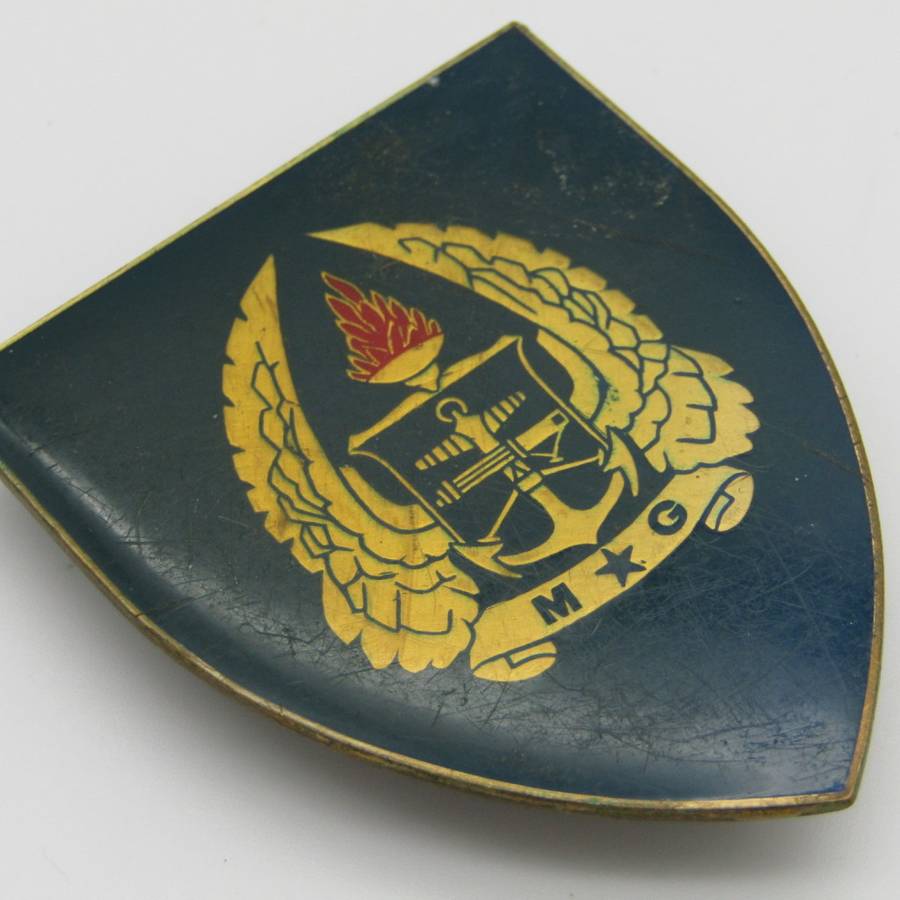 SADF Military Gymnasium shoulder flash