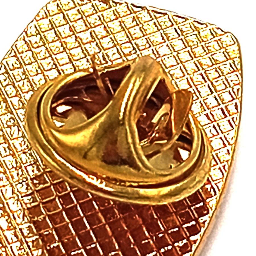 SA Rugby Springboks lapel pin badge