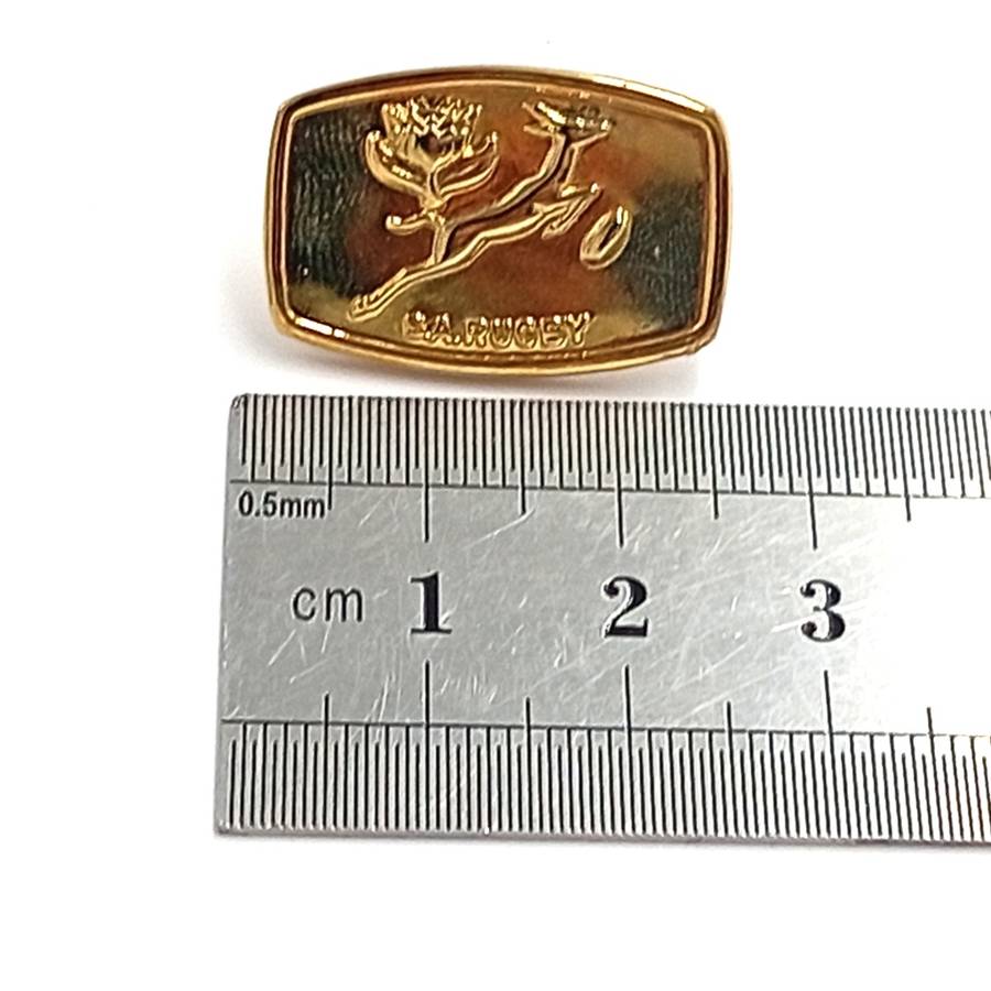 SA Rugby Springboks lapel pin badge