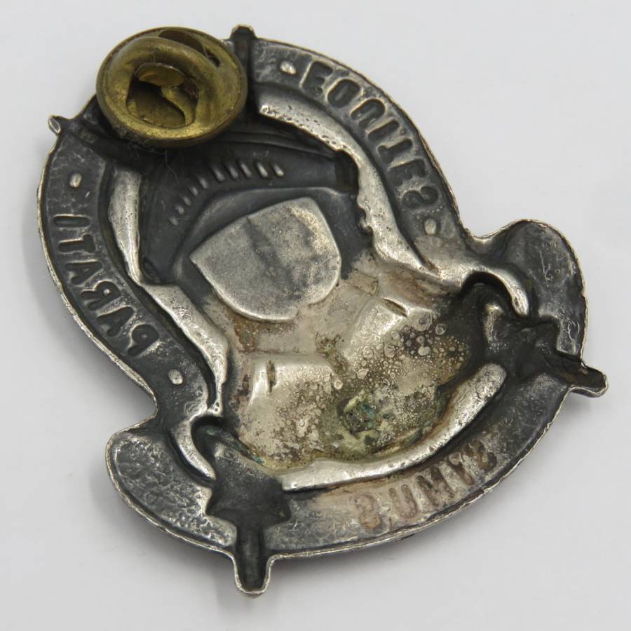 SADF Equestrian Centre badge - one pin