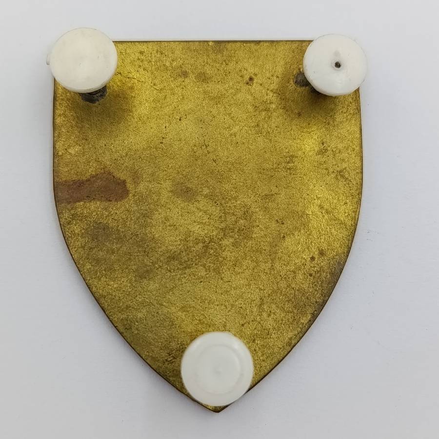 2 SA Cape Corps battalion Shoulder flash