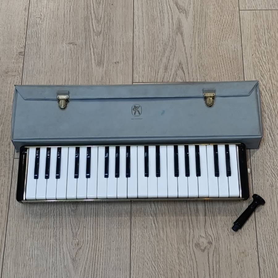 Vintage Hohner Melodica Professional 36 in case