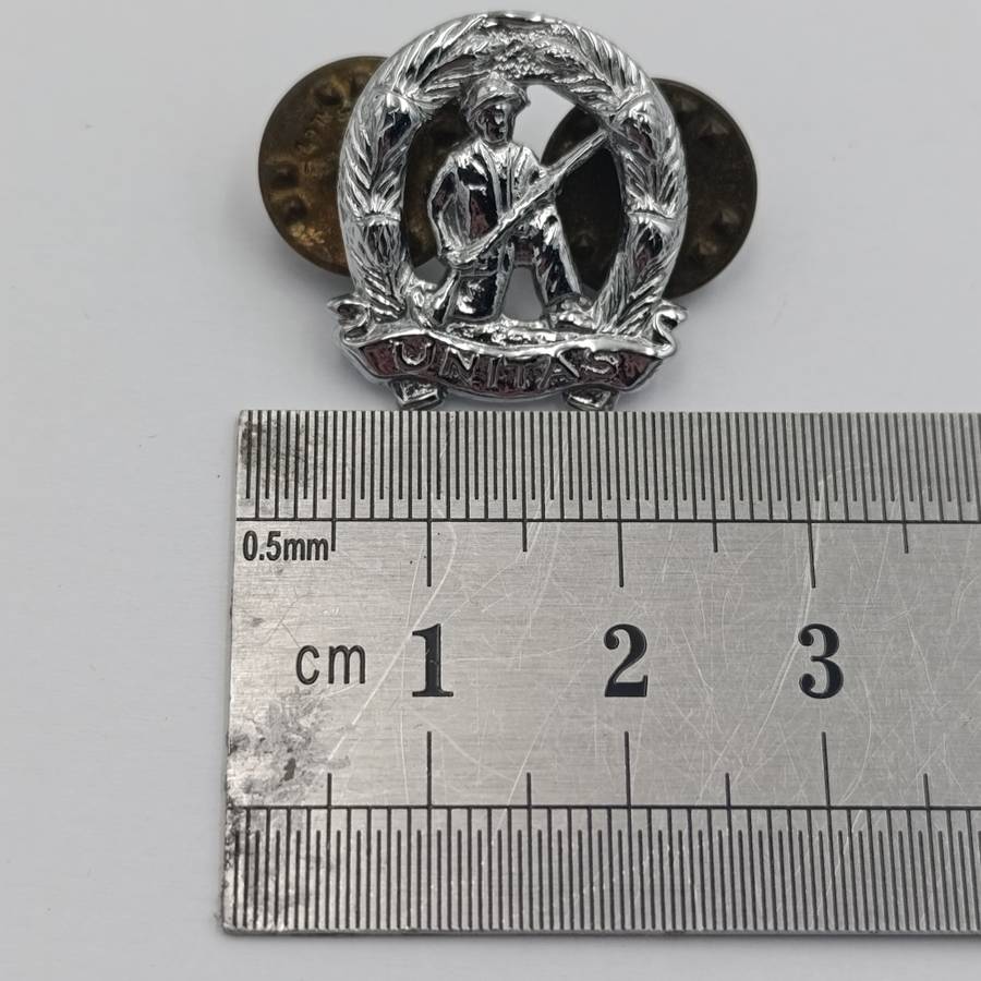 Pair of SADF commandos mess dress collar badges