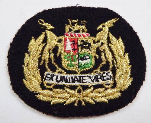 S.A.A.F. Warrant Officer class 1 cloth rank badge - as per photo