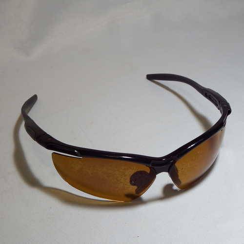 Eagle Eyes sunglasses (new)