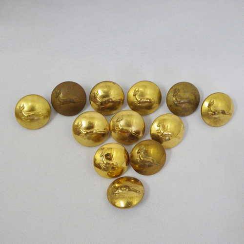 Lot of 12 SA Army buttons