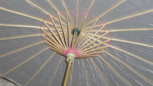 White Parasols "Special"