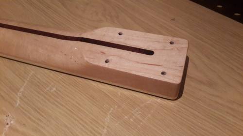 SX guitar neck - from T thinline style