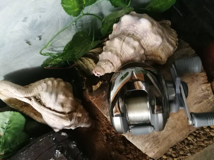 Shimano cso-100 baitcasting fishing reel