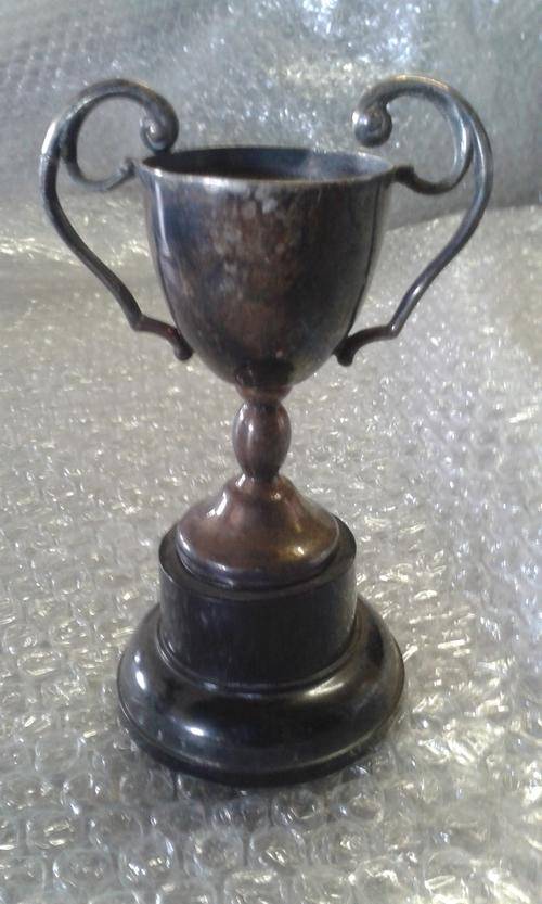 Vintage EPNS Trophy (12x8cm)