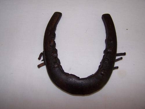 #1 horse shoe ... fascinating !!!