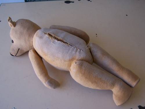 teddy ... a large one !!!