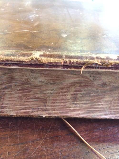 Antique leather book of Shakespeare's plays