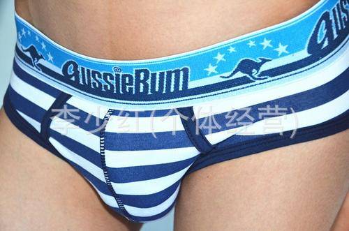 AB Brief (L)
