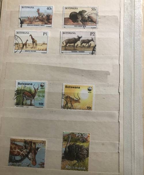 Botswana Animals and birds