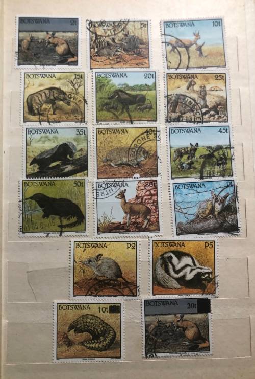 Botswana Animals and birds