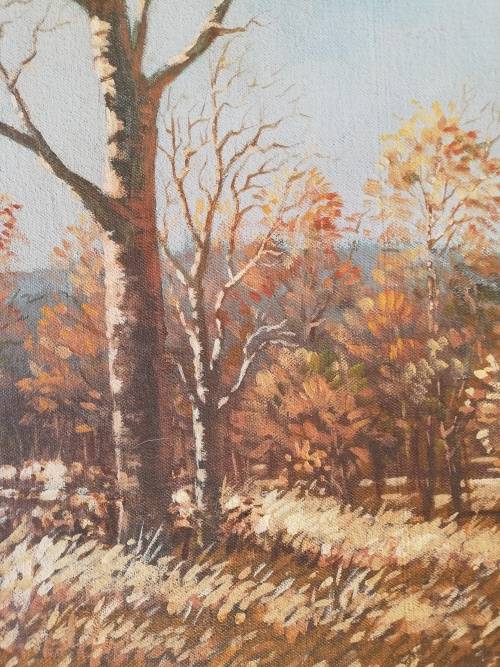 Beautiful Autumn Landscape by Mat Louwrens