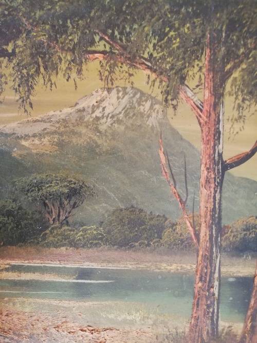 Magical Landscape by T. Bolt