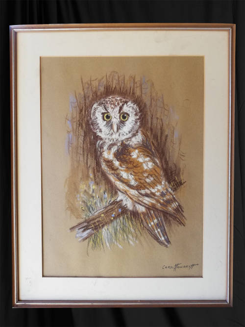 A quaint chalk pastel drawing of an owl | Caryl Howartt