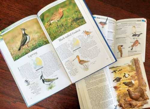 Large lot of UK bird/wildlife guides