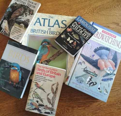 Large lot of UK bird/wildlife guides