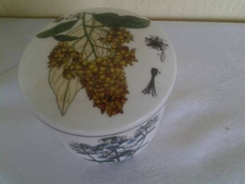 pretty round bontical scene porcelain trinket jar with lid