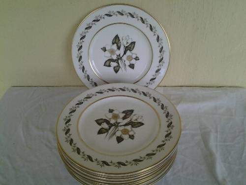 12 stunning vintage royal worcester porcelain dinner plates