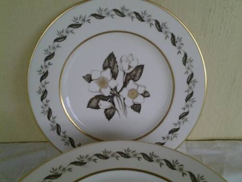 12 stunning vintage royal worcester porcelain dinner plates