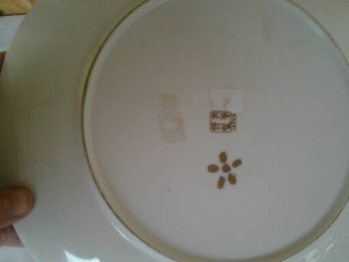 stunning oriental floral scene Imari display porcelain wall plate