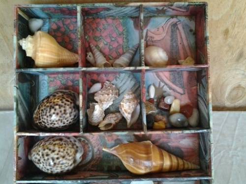 a nice holder with some collectable sea shells