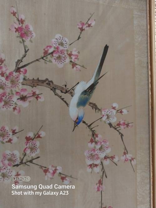Framed stunning singhed Chinese bird on slik