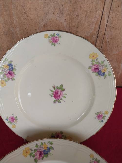 A set of six Alfred meakin floarl porcelain dinner plates